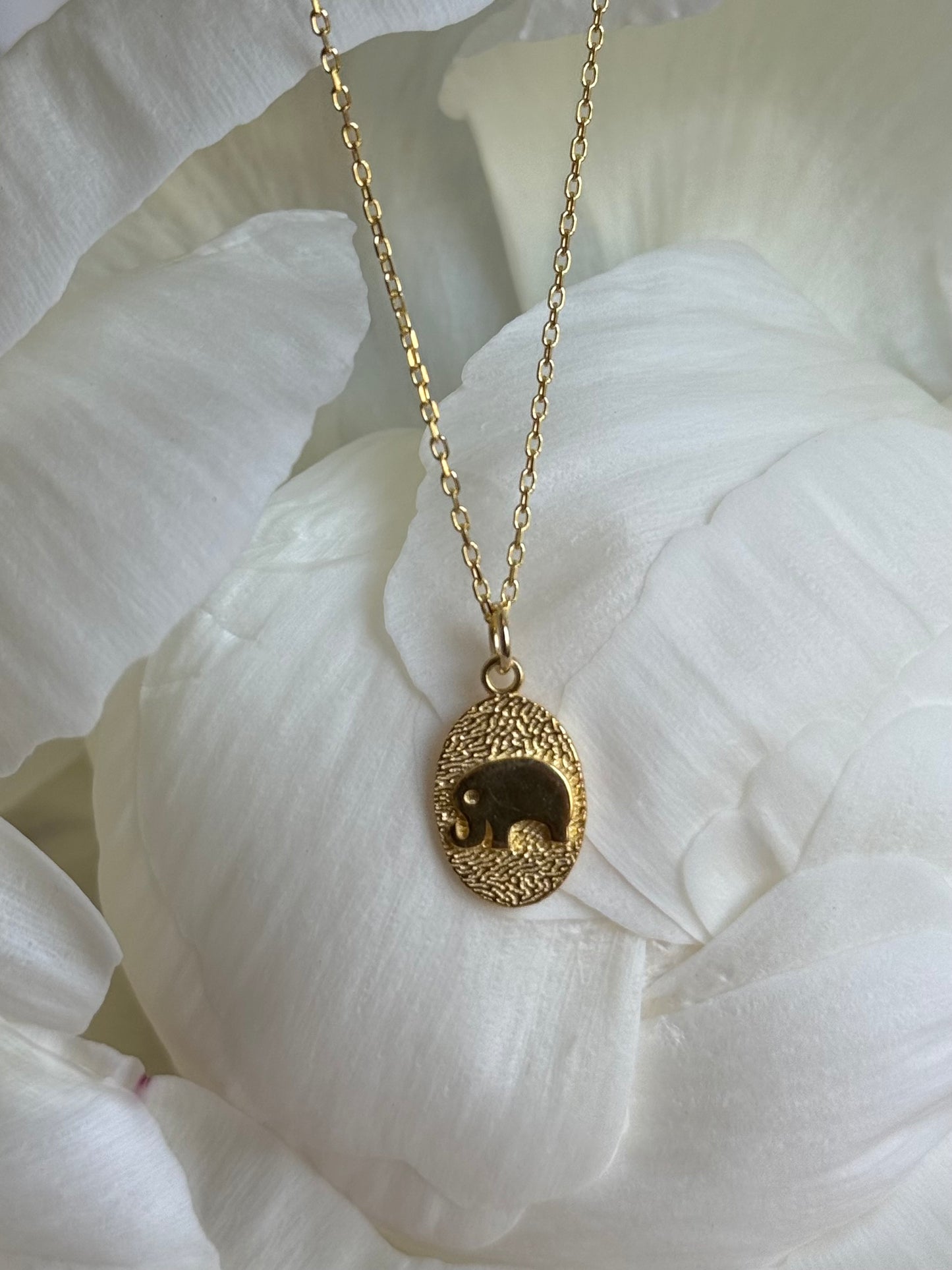 Elephant Lucky Charm Necklace