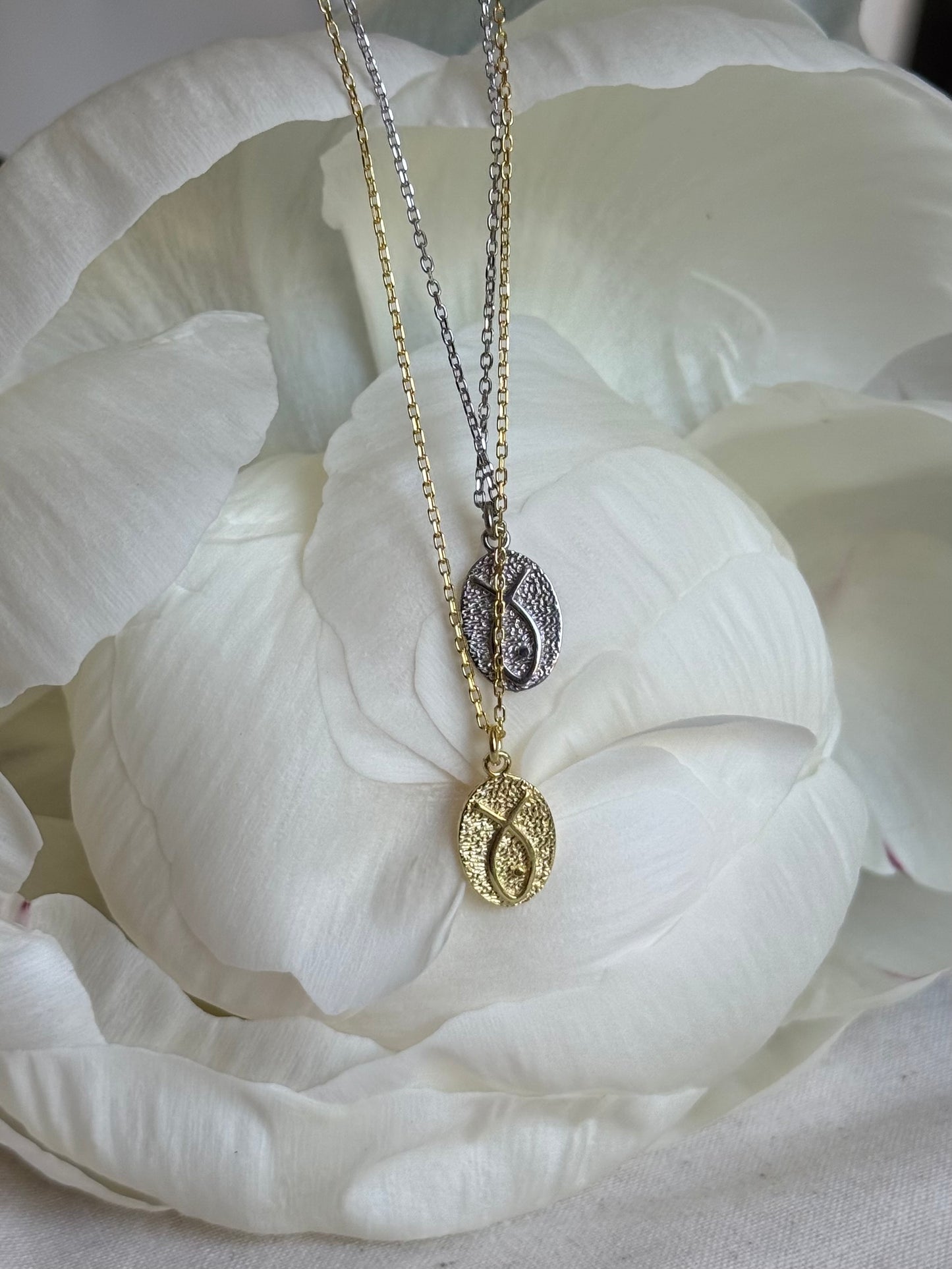 Fish Lucky Charm Necklace
